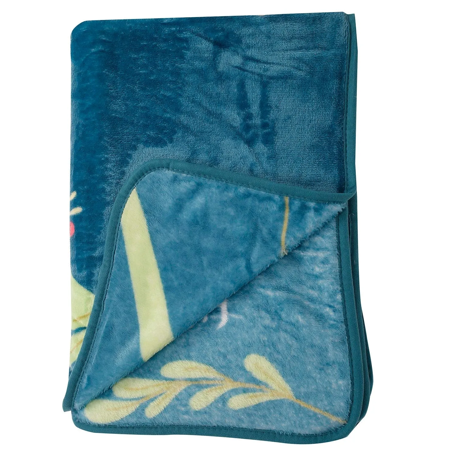 Have A Good Time Blue One Ply Blanket