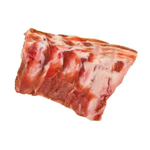 Lamb Spine