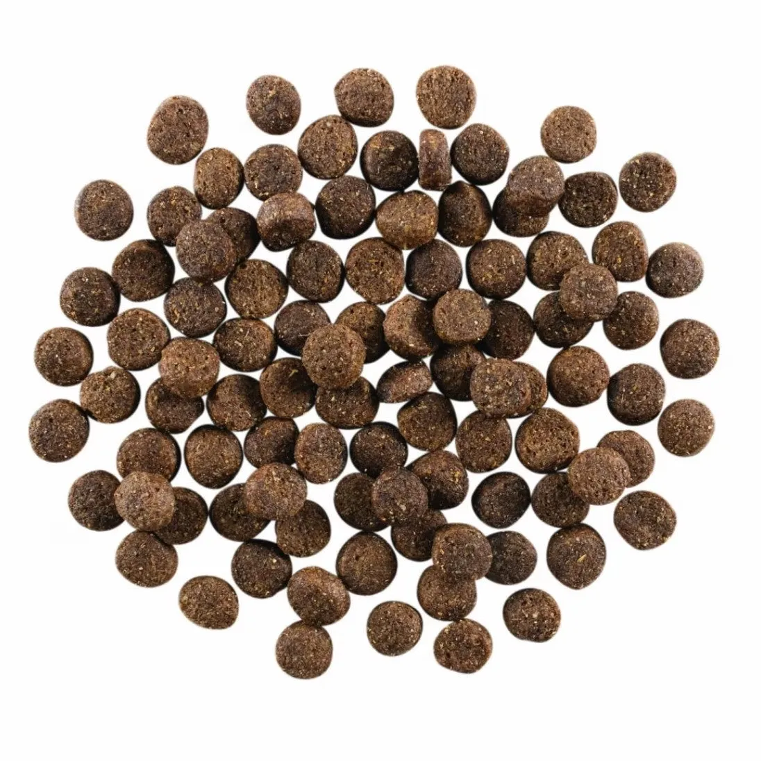 PETCUREAN GO! Skin   Coat Care: Lamb Recipe with Grains for Dogs