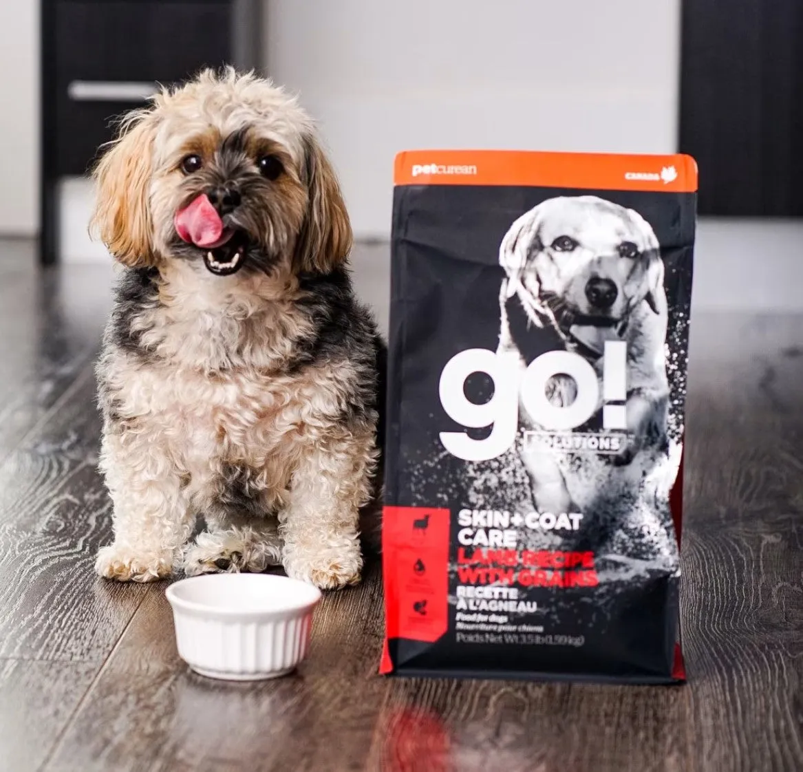 PETCUREAN GO! Skin   Coat Care: Lamb Recipe with Grains for Dogs
